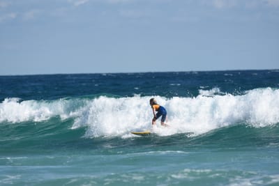 DSC_7659.JPG