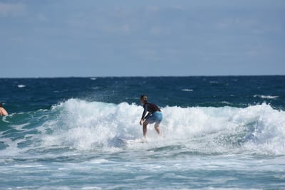 DSC_7666.JPG