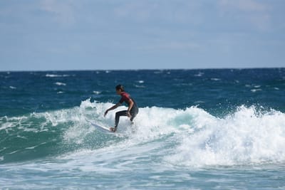 DSC_7696.JPG