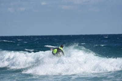 DSC_7703.JPG