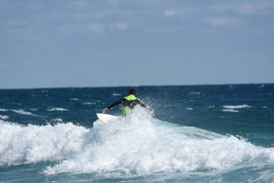 DSC_7705.JPG
