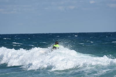 DSC_7706.JPG