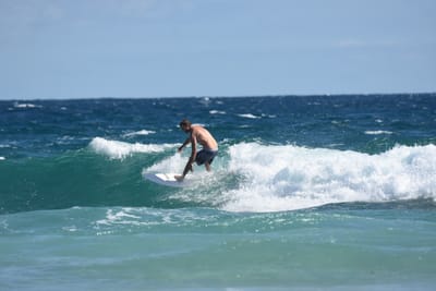 DSC_7710.JPG