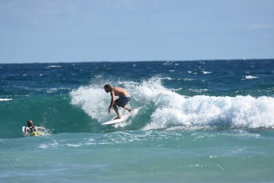 DSC_7712.JPG