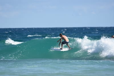 DSC_7717.JPG