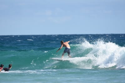 DSC_7719.JPG