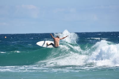 DSC_7724.JPG