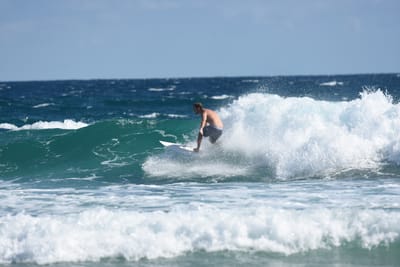 DSC_7734.JPG