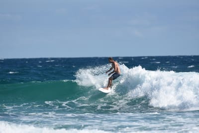DSC_7736.JPG