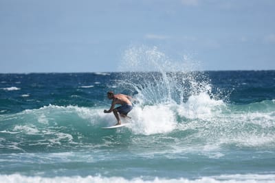 DSC_7746.JPG