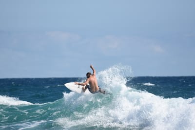 DSC_7772.JPG