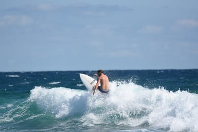 DSC_7775.JPG