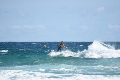DSC_7779.JPG