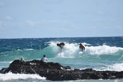 DSC_7803.JPG