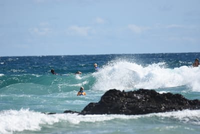 DSC_7804.JPG