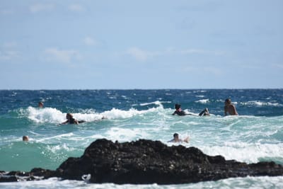 DSC_7808.JPG