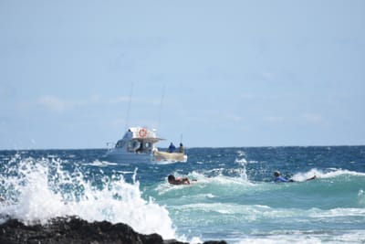 DSC_7811.JPG