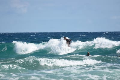 DSC_7827.JPG