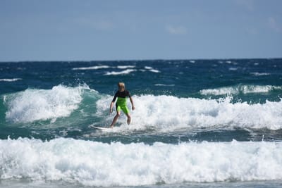DSC_7835.JPG