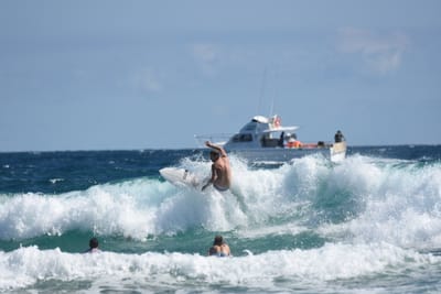 DSC_7837.JPG