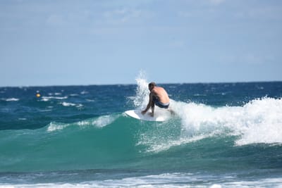 DSC_7843.JPG