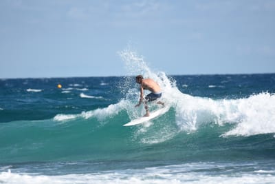 DSC_7844.JPG