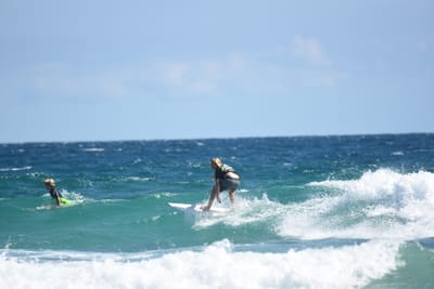 DSC_7857.JPG