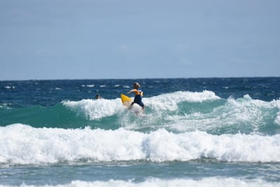DSC_7864 - Copy.JPG