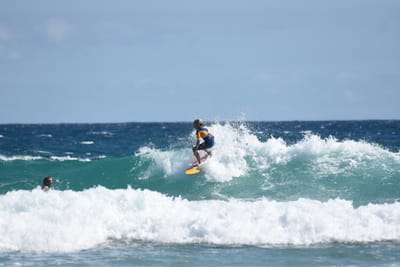 DSC_7867.JPG