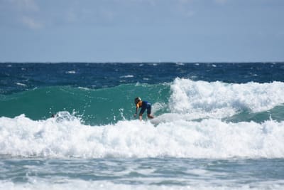 DSC_7869.JPG