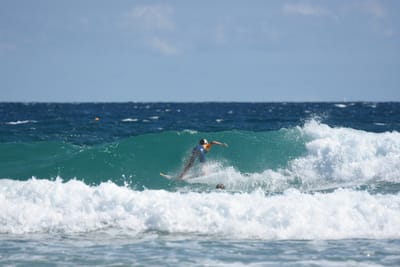 DSC_7871.JPG