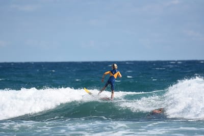 DSC_7888.JPG