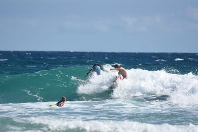 DSC_7895.JPG