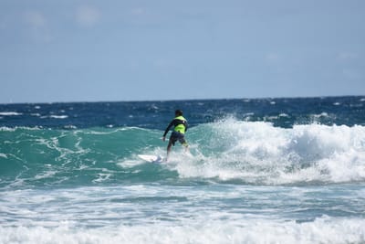 DSC_7898.JPG