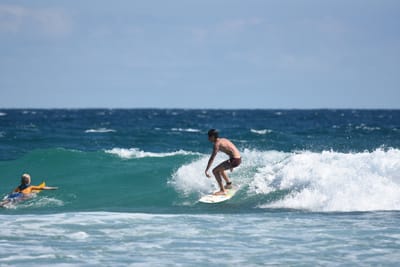 DSC_7905.JPG