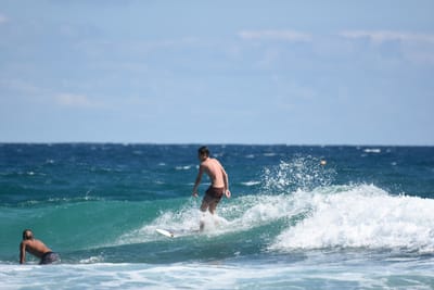 DSC_7911.JPG