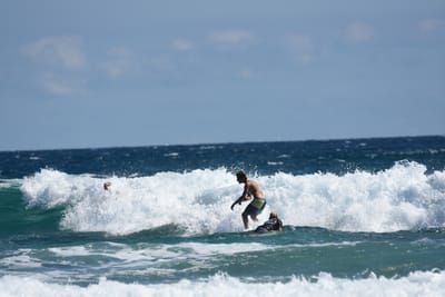 DSC_7912.JPG