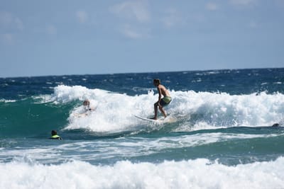 DSC_7913.JPG