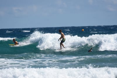 DSC_7915.JPG