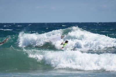 DSC_7918.JPG