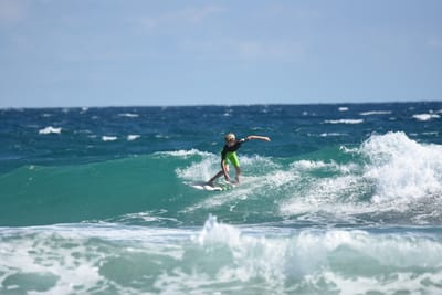DSC_7926.JPG