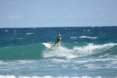 DSC_7932.JPG