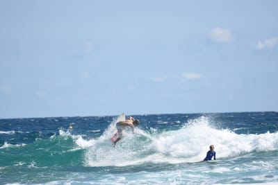 DSC_7947.JPG