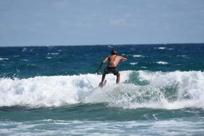 DSC_7954.JPG
