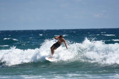 DSC_7955.JPG
