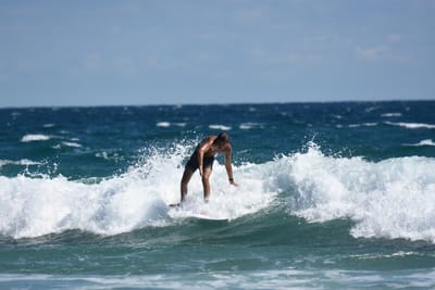 DSC_7956.JPG