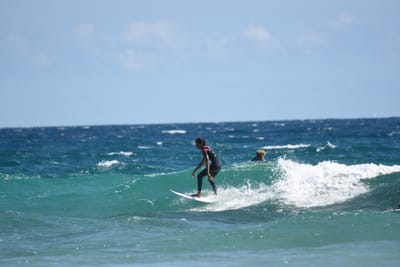 DSC_7957.JPG