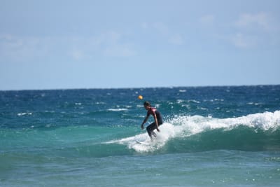 DSC_7958.JPG