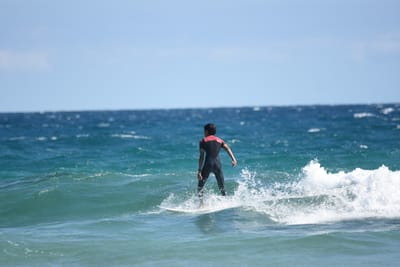 DSC_7959.JPG