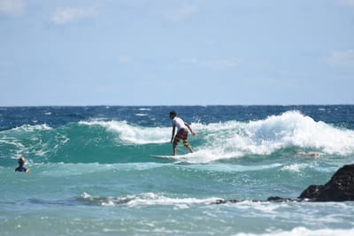 DSC_7960.JPG